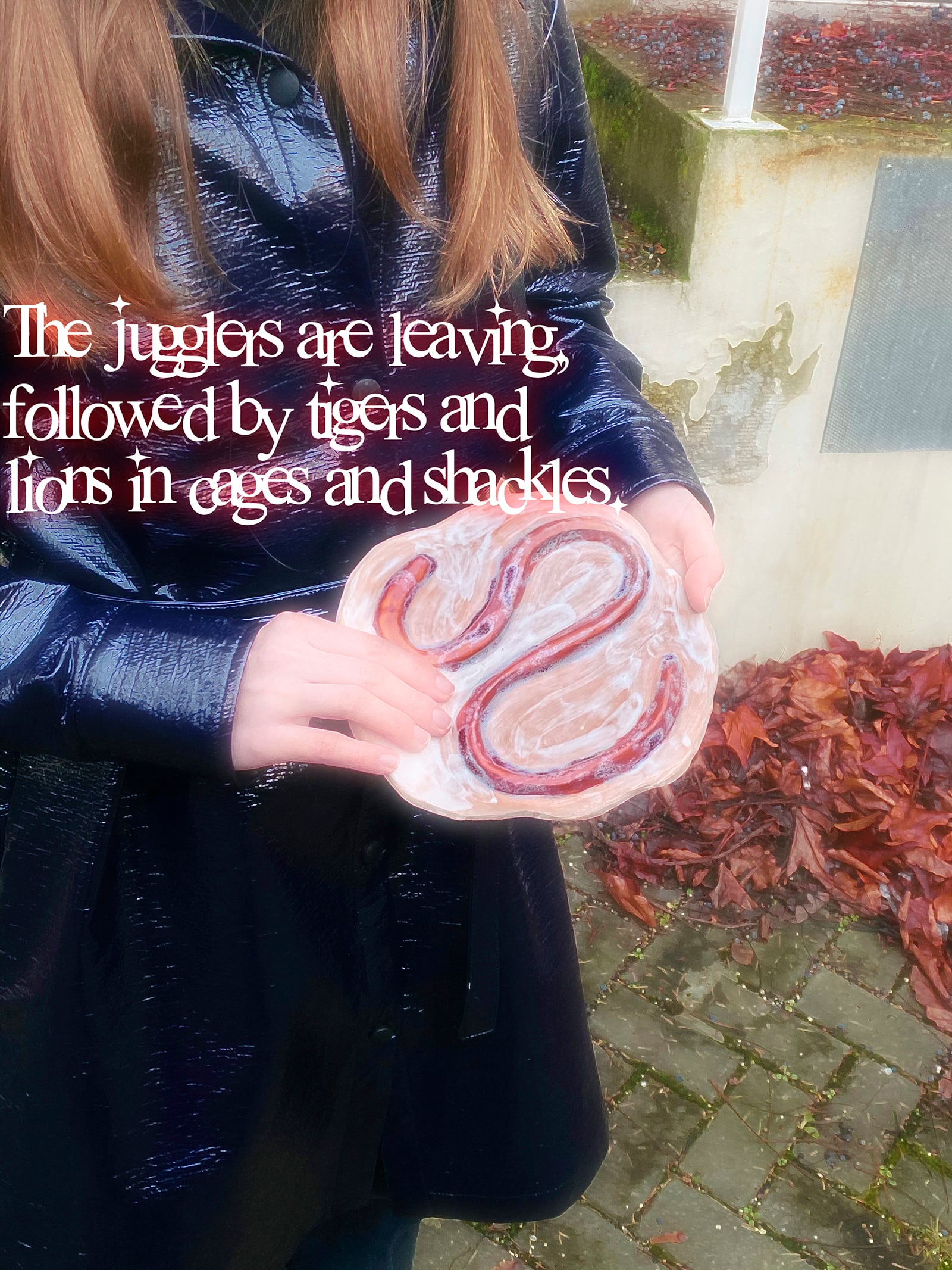 article image; primary-color: #706262;