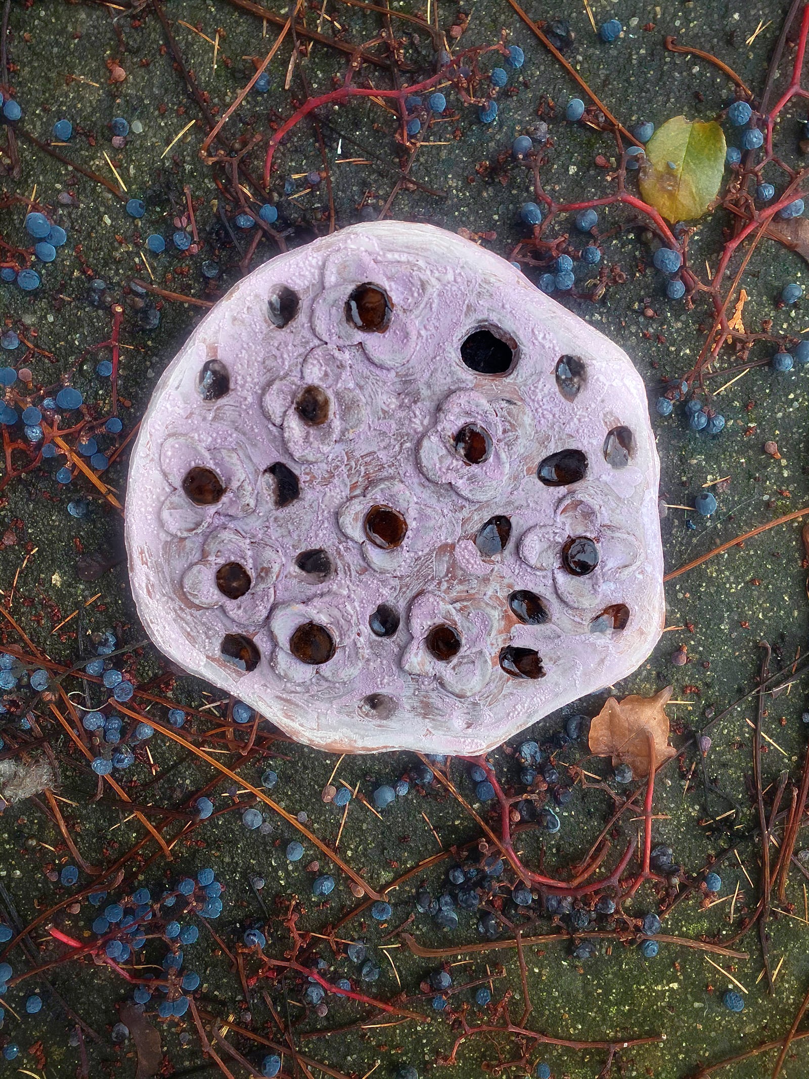 article image; primary-color: #615957;