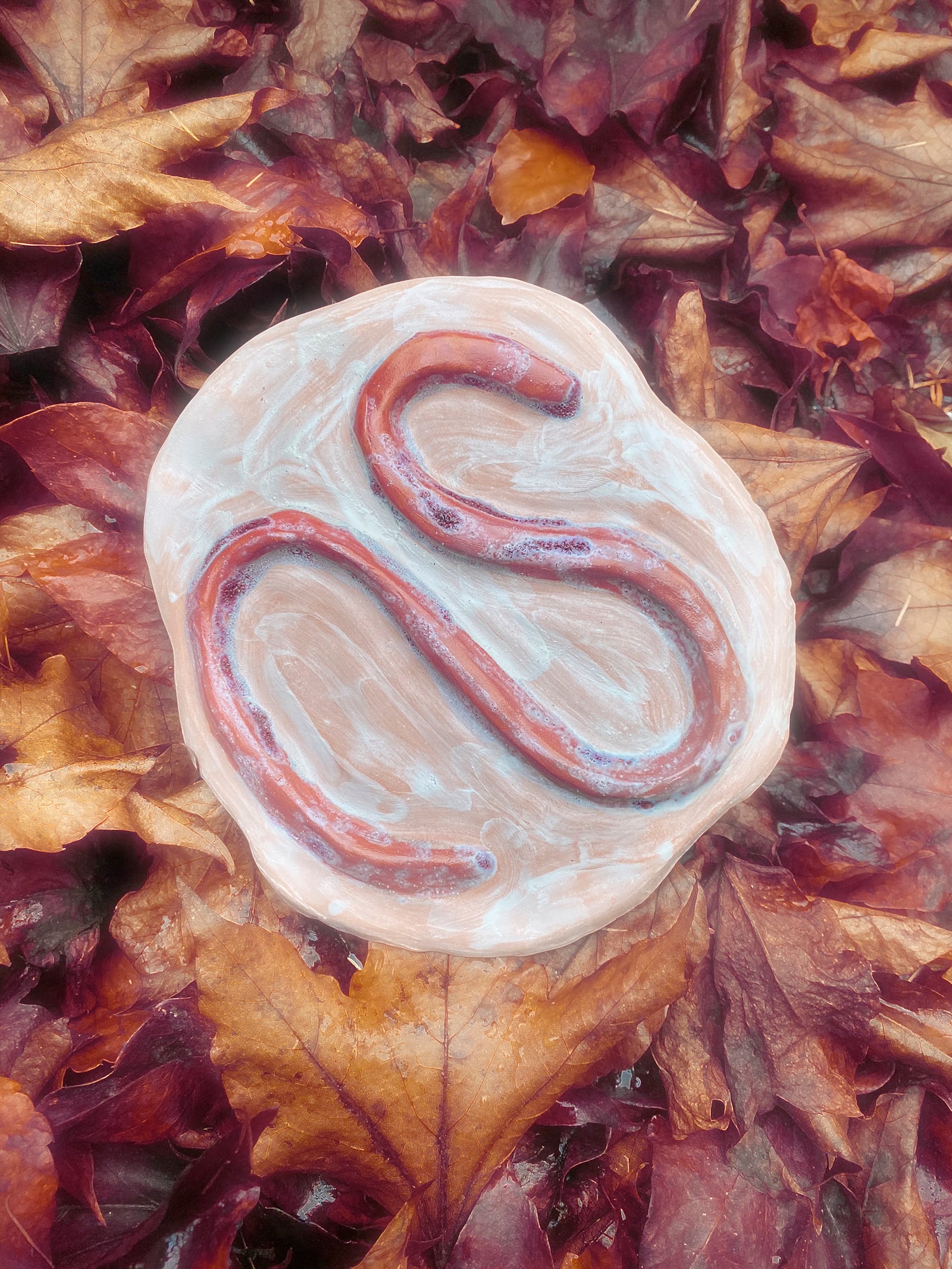 article image; primary-color: #A0706E;