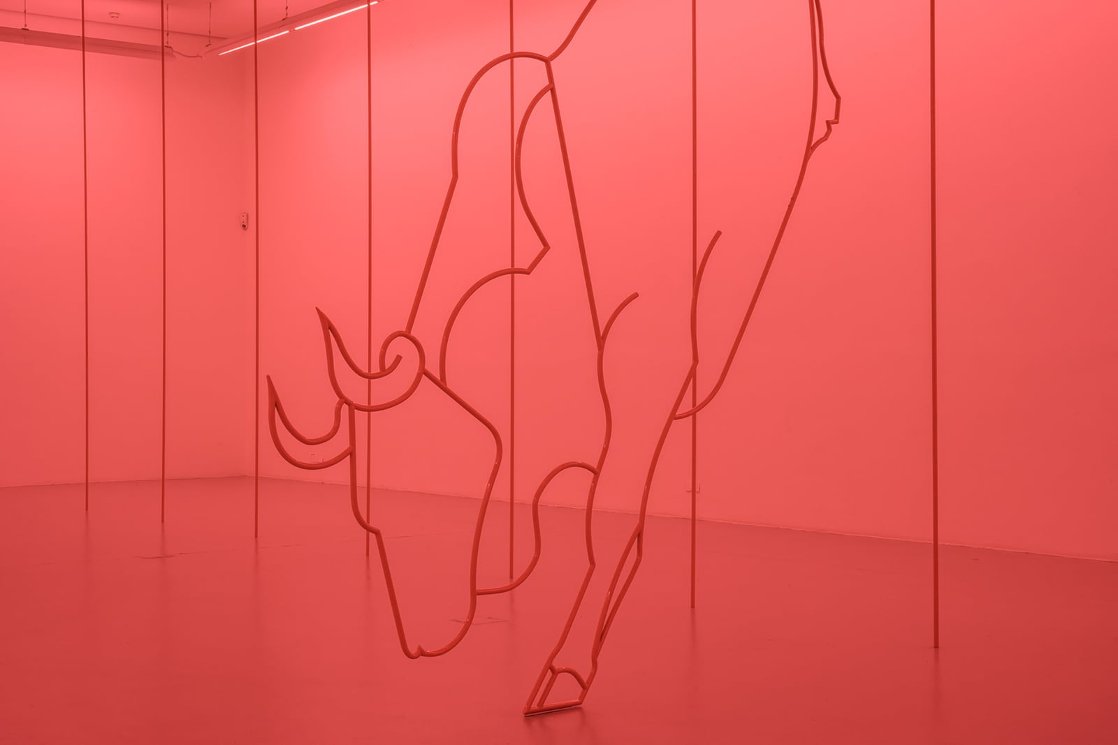 article image; primary-color: #E75757;