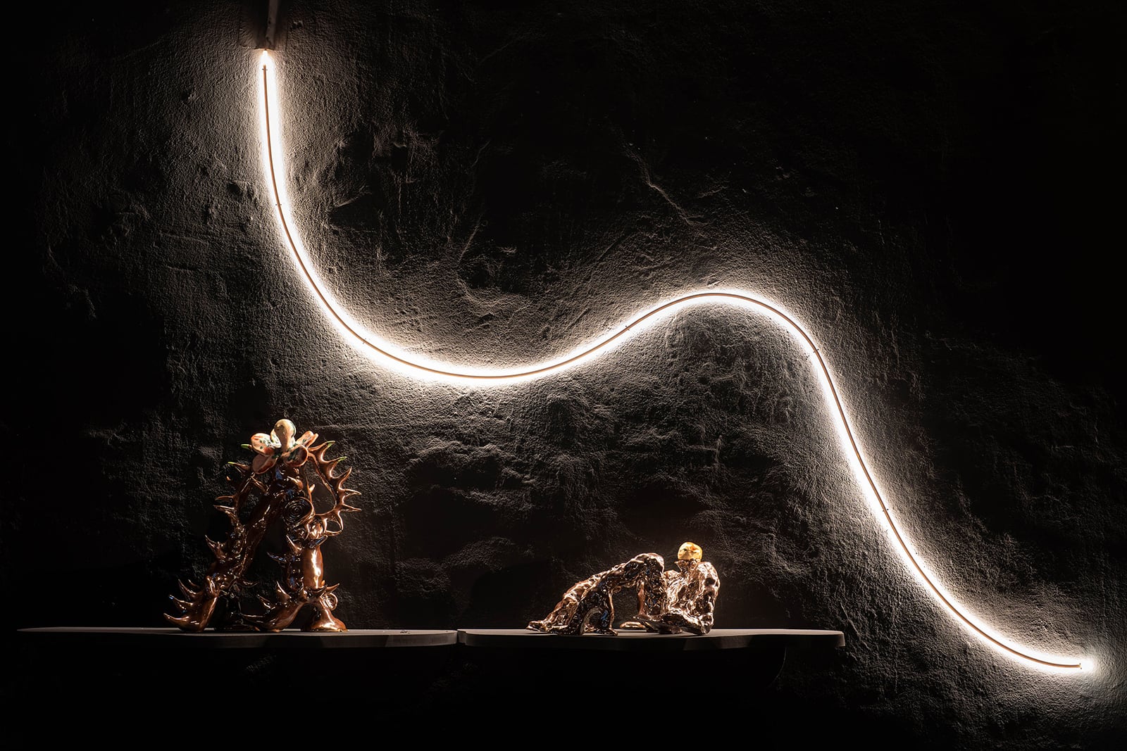 article image; primary-color: #261E1C;