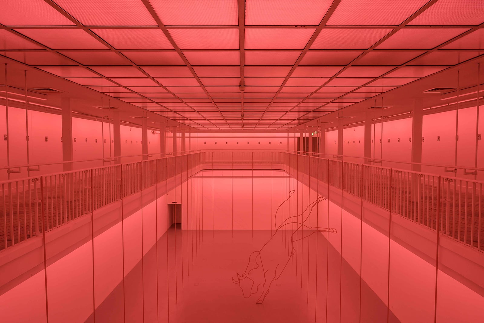 article image; primary-color: #C94541;