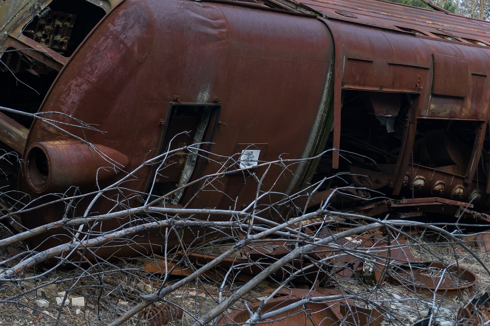 article image; primary-color: #3E3433;