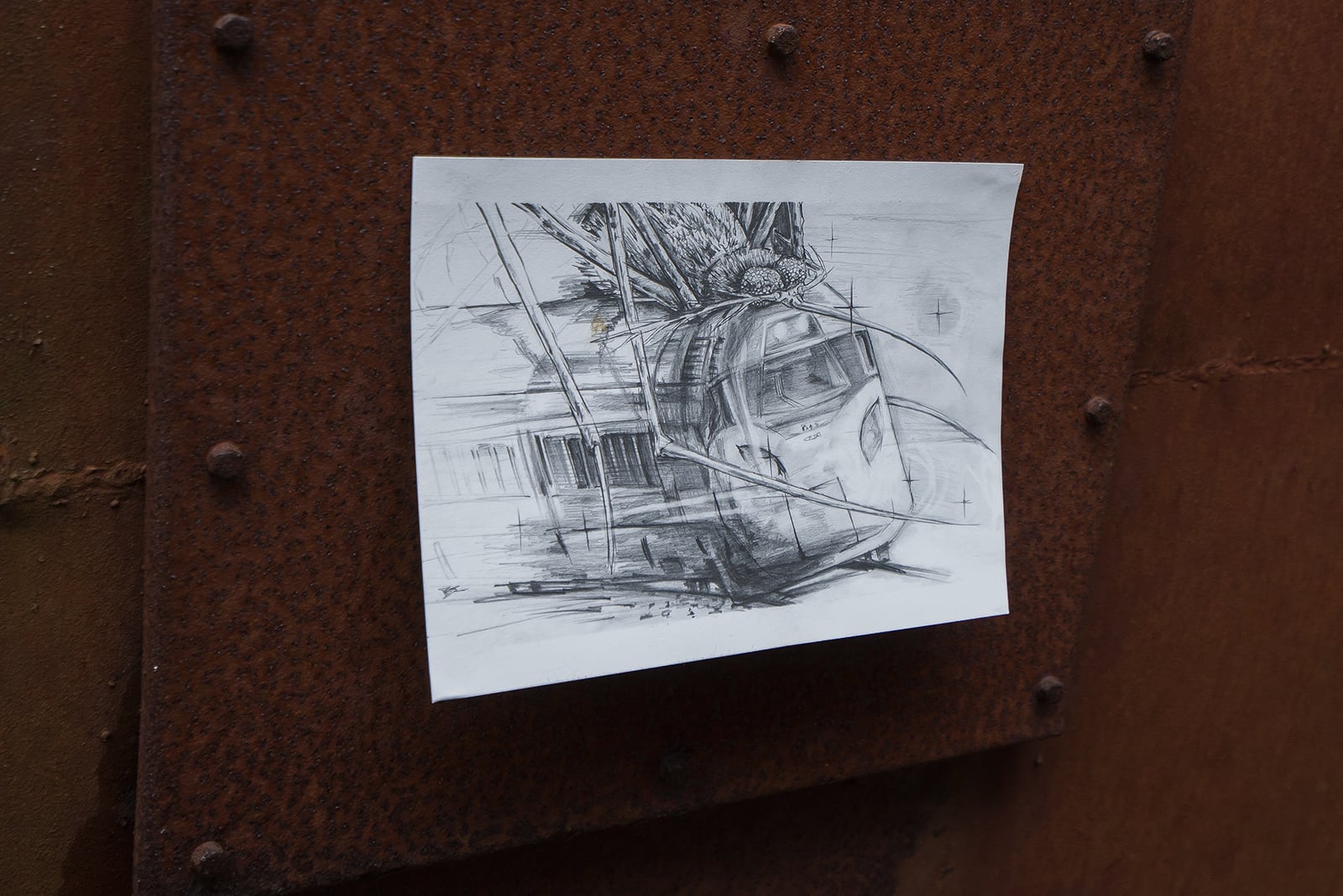 article image; primary-color: #4F3D39;