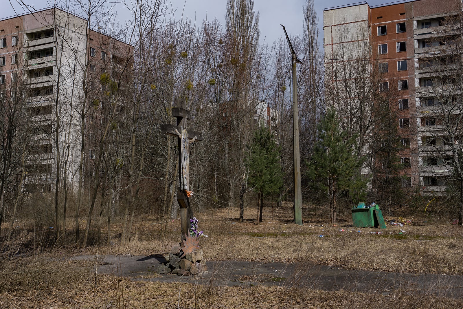 article image; primary-color: #5D544D;