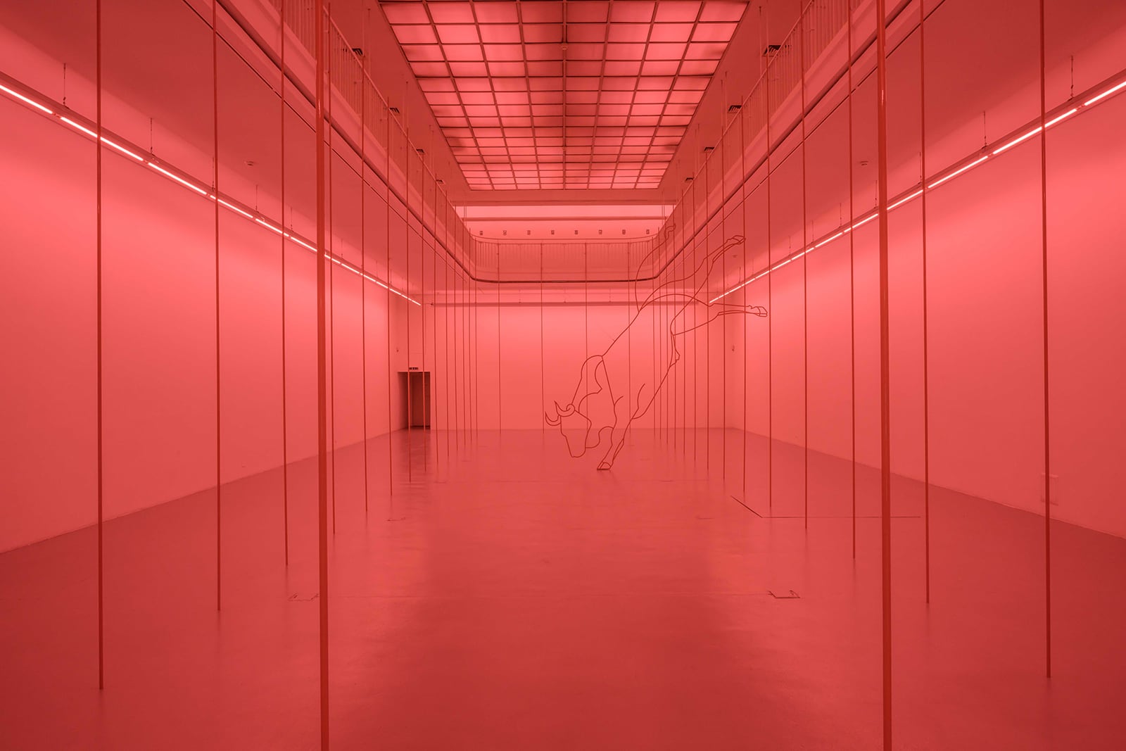 article image; primary-color: #D24B48;