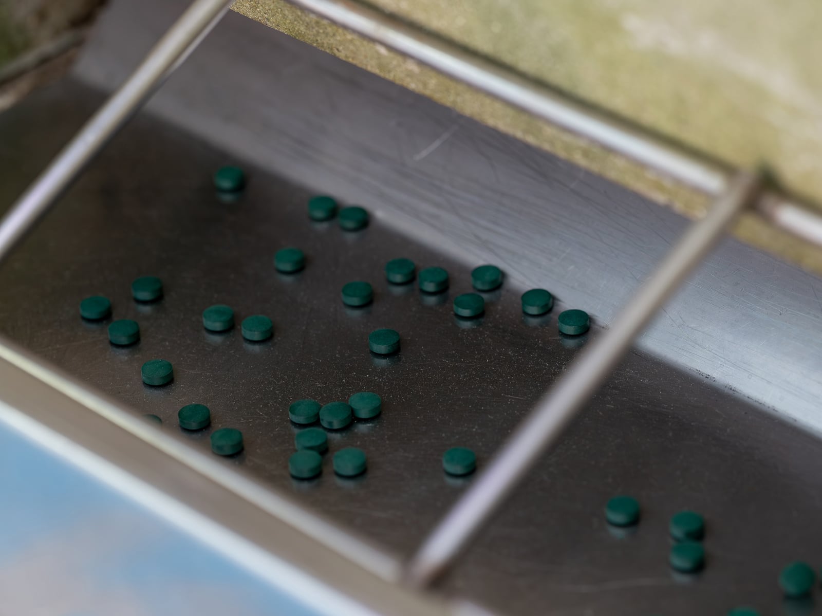 article image; primary-color: #63645F;