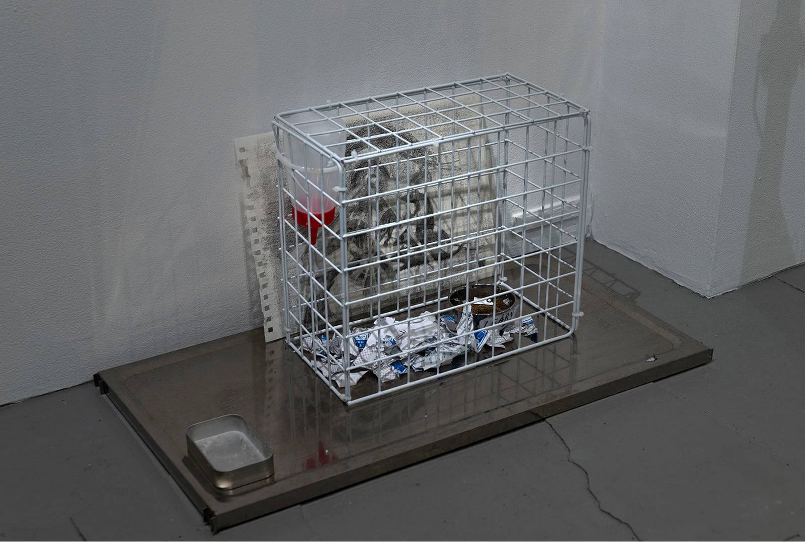 article image; primary-color: #63676A;