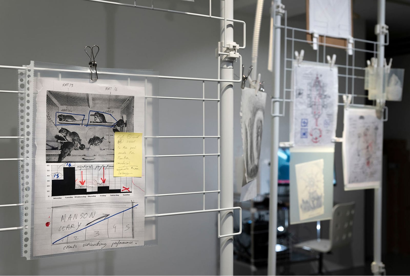 article image; primary-color: #7E7F7A;