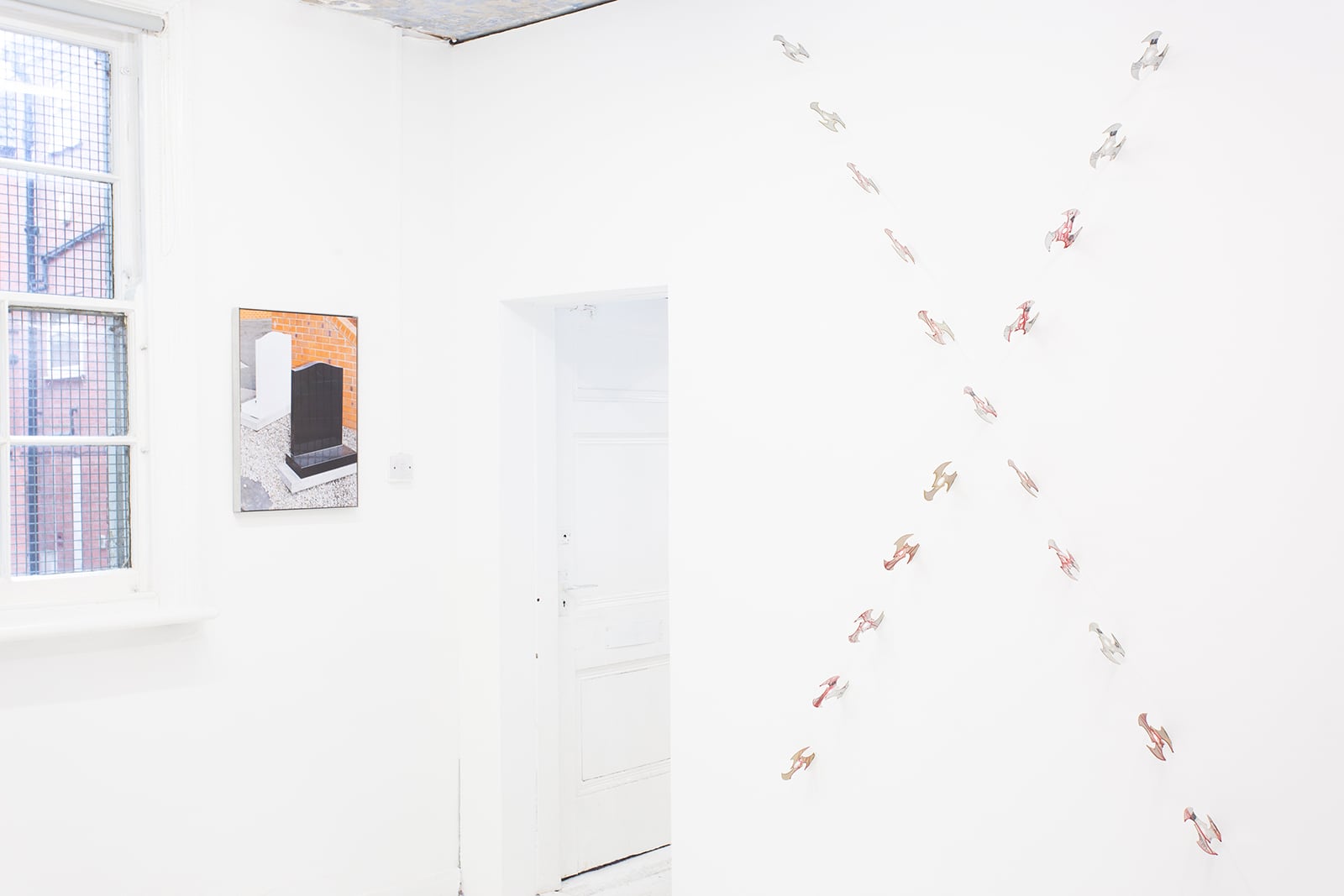 article image; primary-color: #EEEEEE;