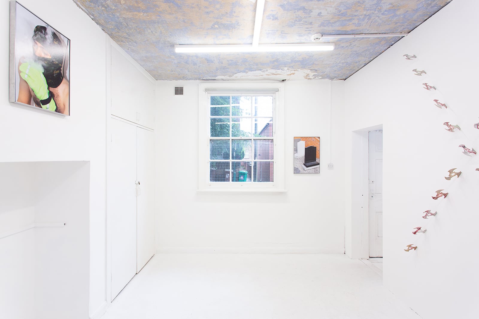 article image; primary-color: #DEDDE2;