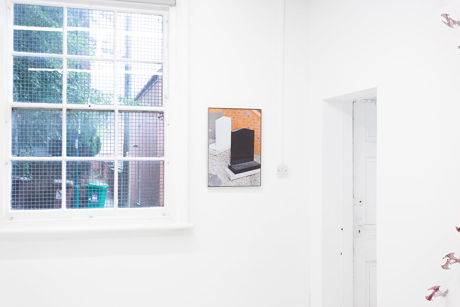 article image; primary-color: #DDE1E4;