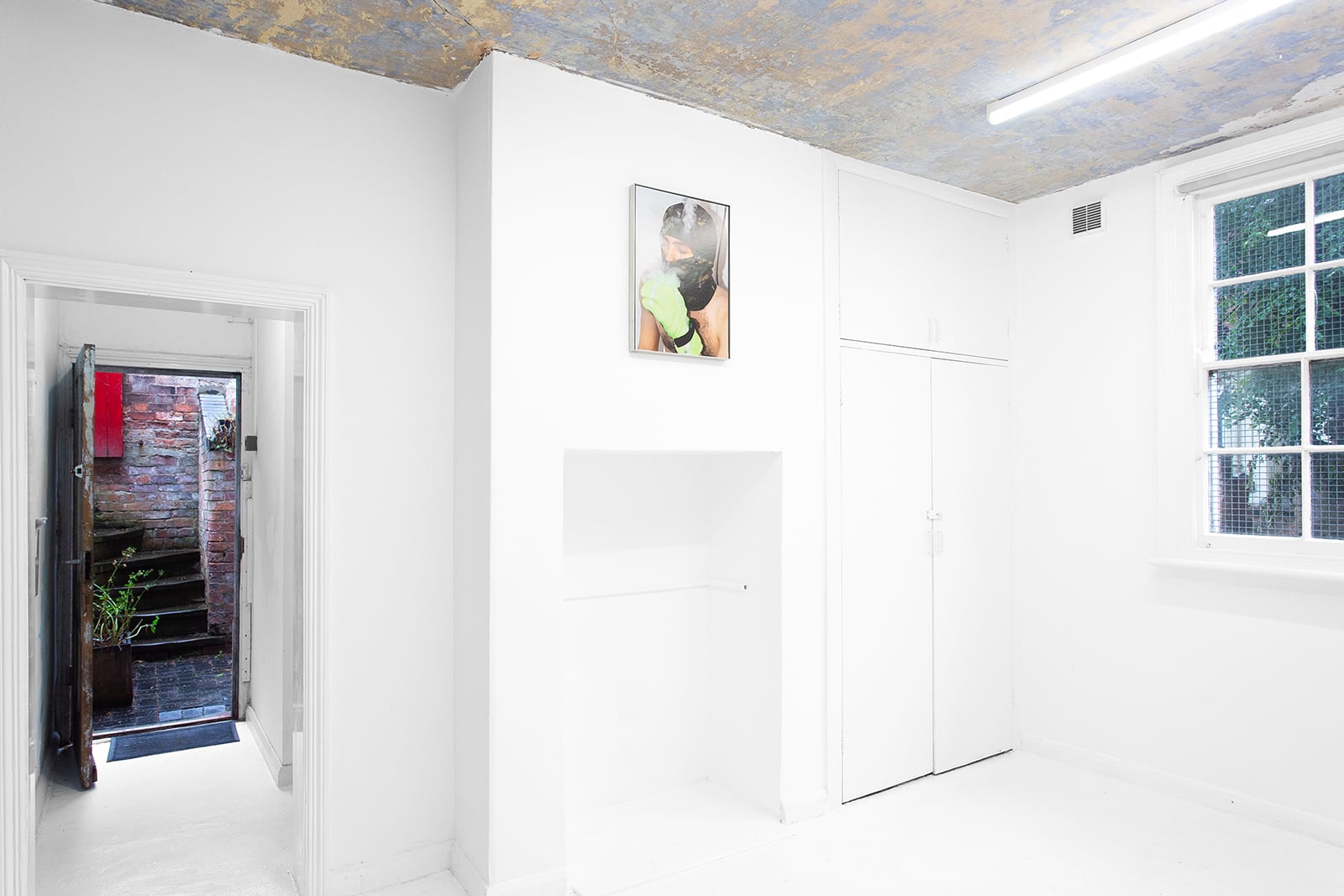 article image; primary-color: #D4D4D4;