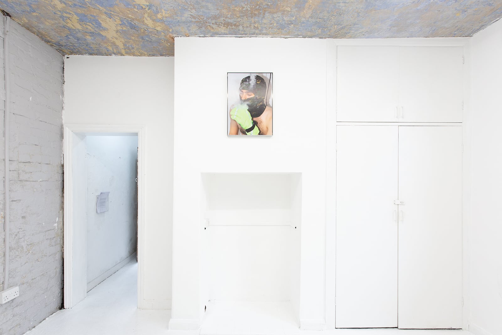 article image; primary-color: #DBDBDB;