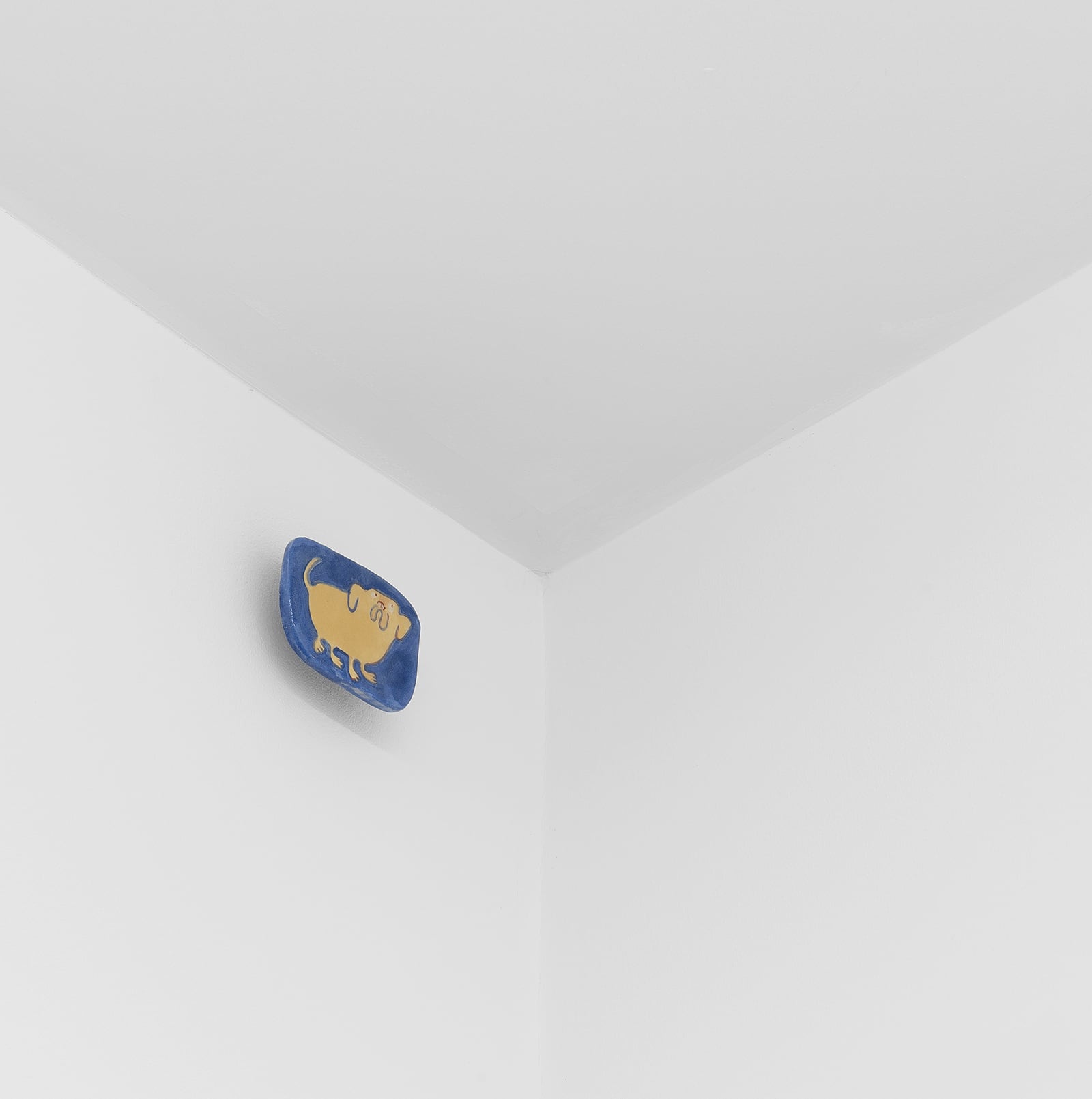 article image; primary-color: #D8D8D8;