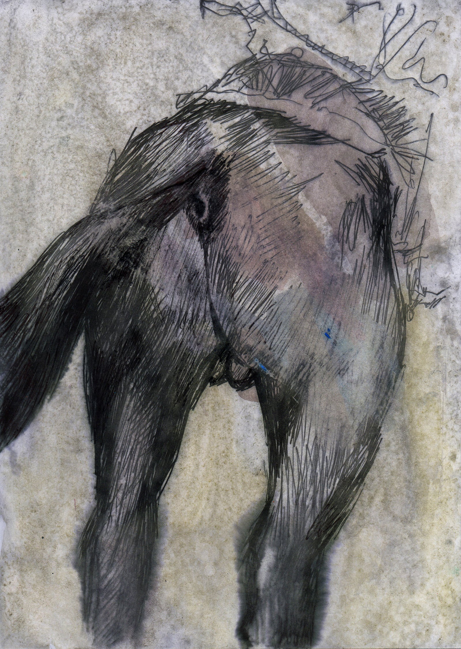 article image; primary-color: #807C79;