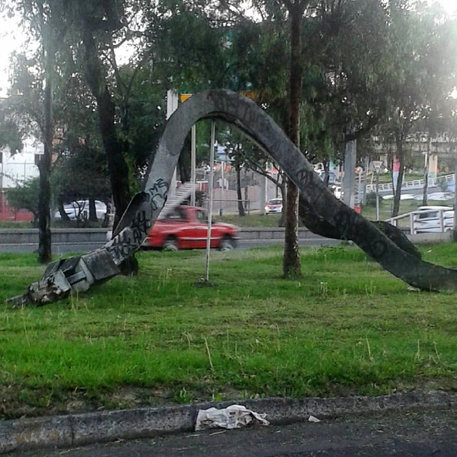 article image; primary-color: #4F5B4D;