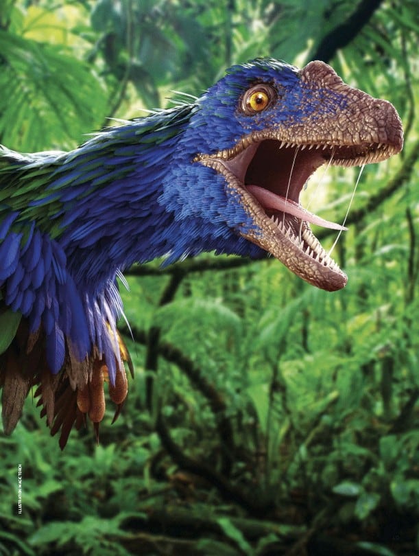 article image; primary-color: #496046;