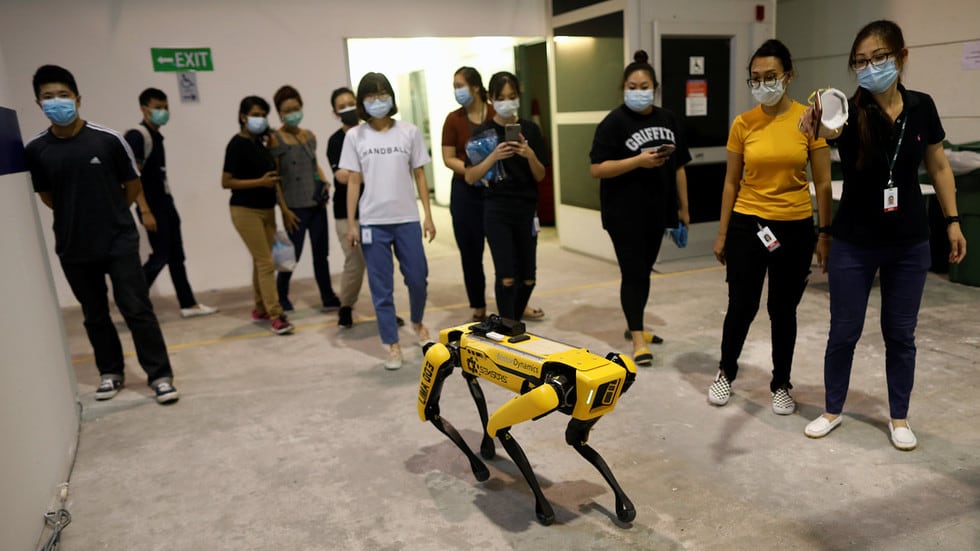 article image; primary-color: #766A5A;