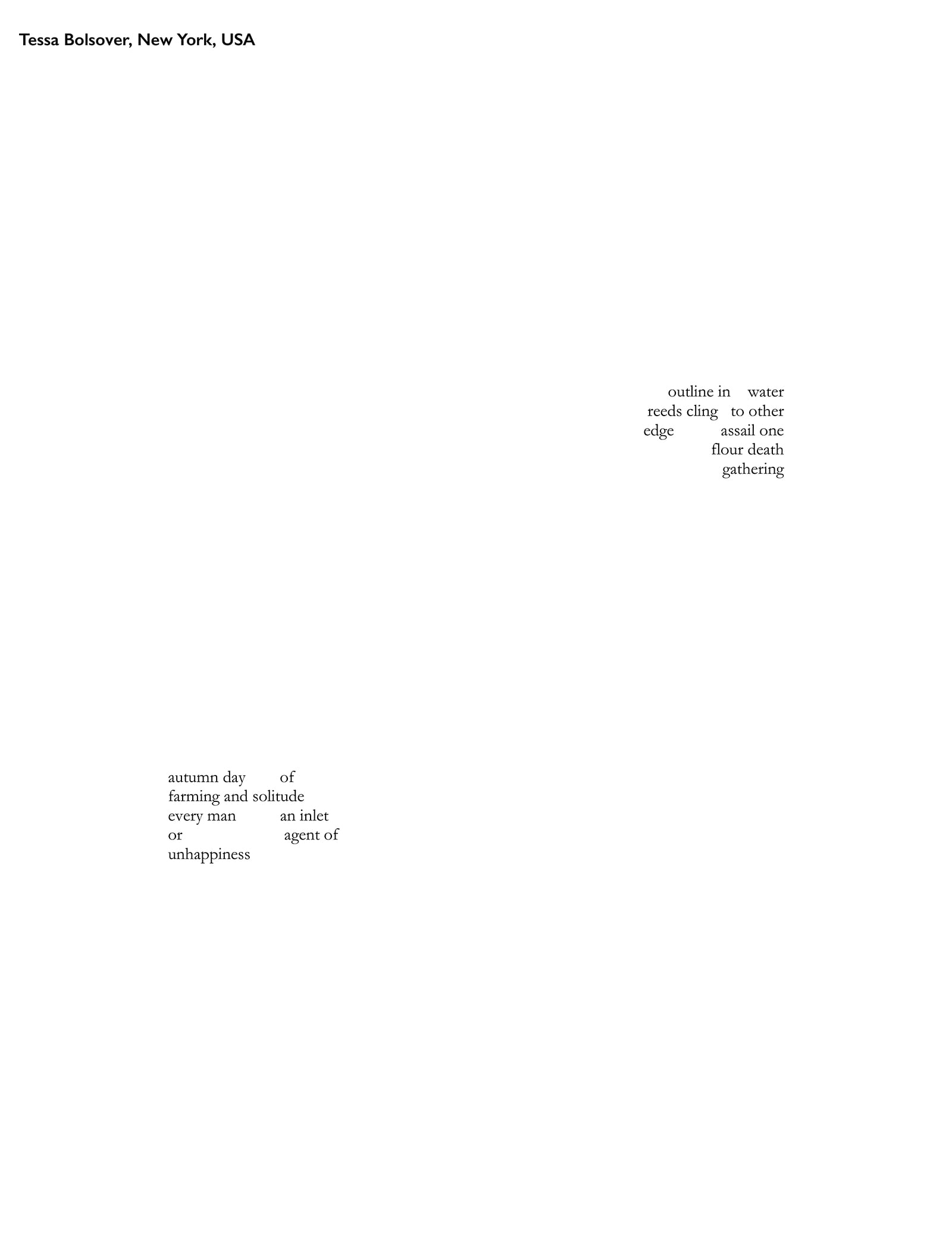 article image; primary-color: #FFFFFF;