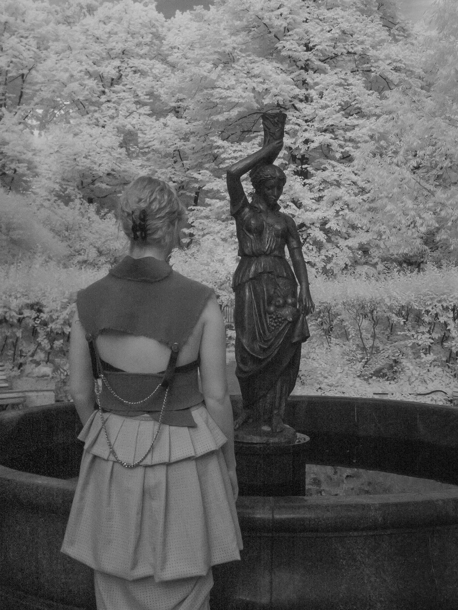 article image; primary-color: #666666;