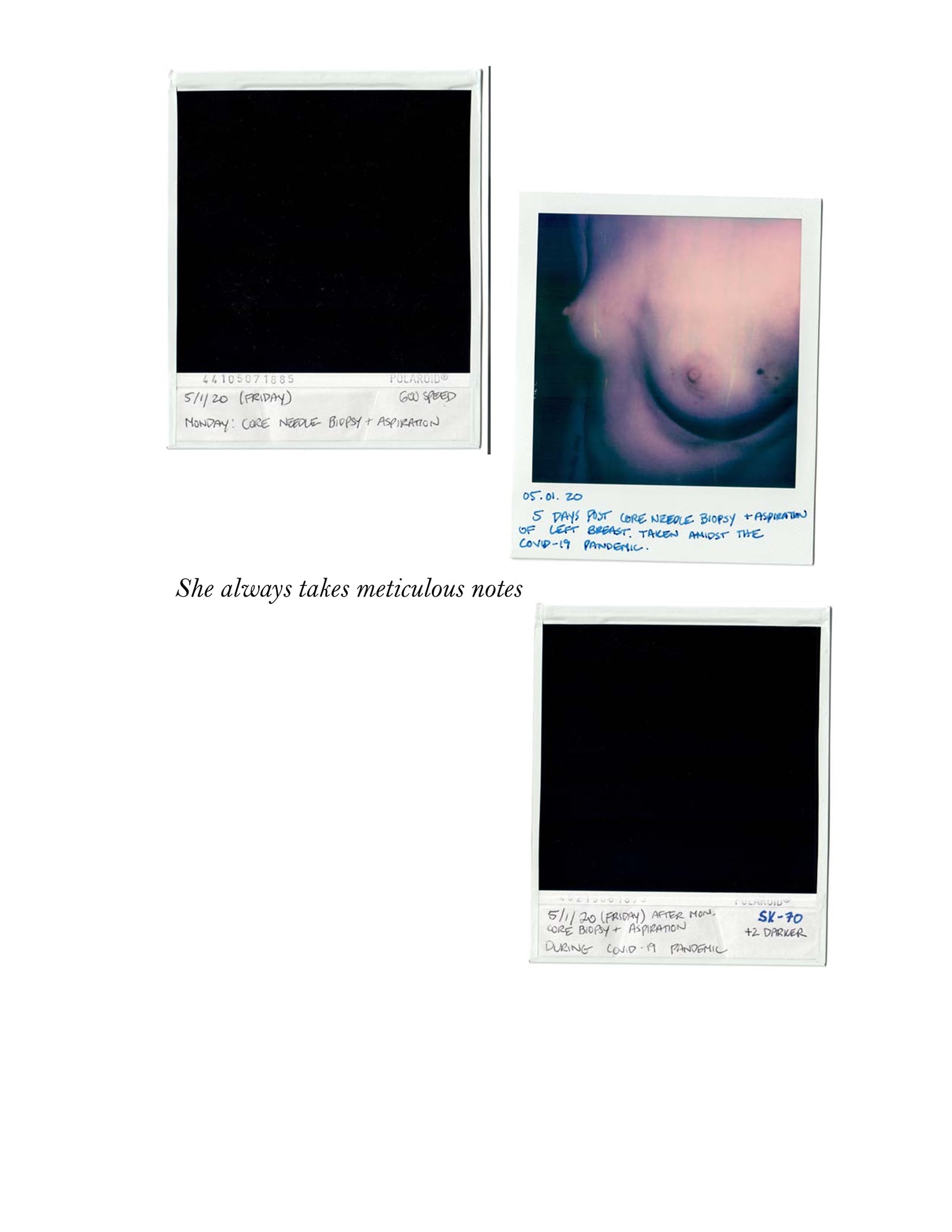 article image; primary-color: #D1D1D1;