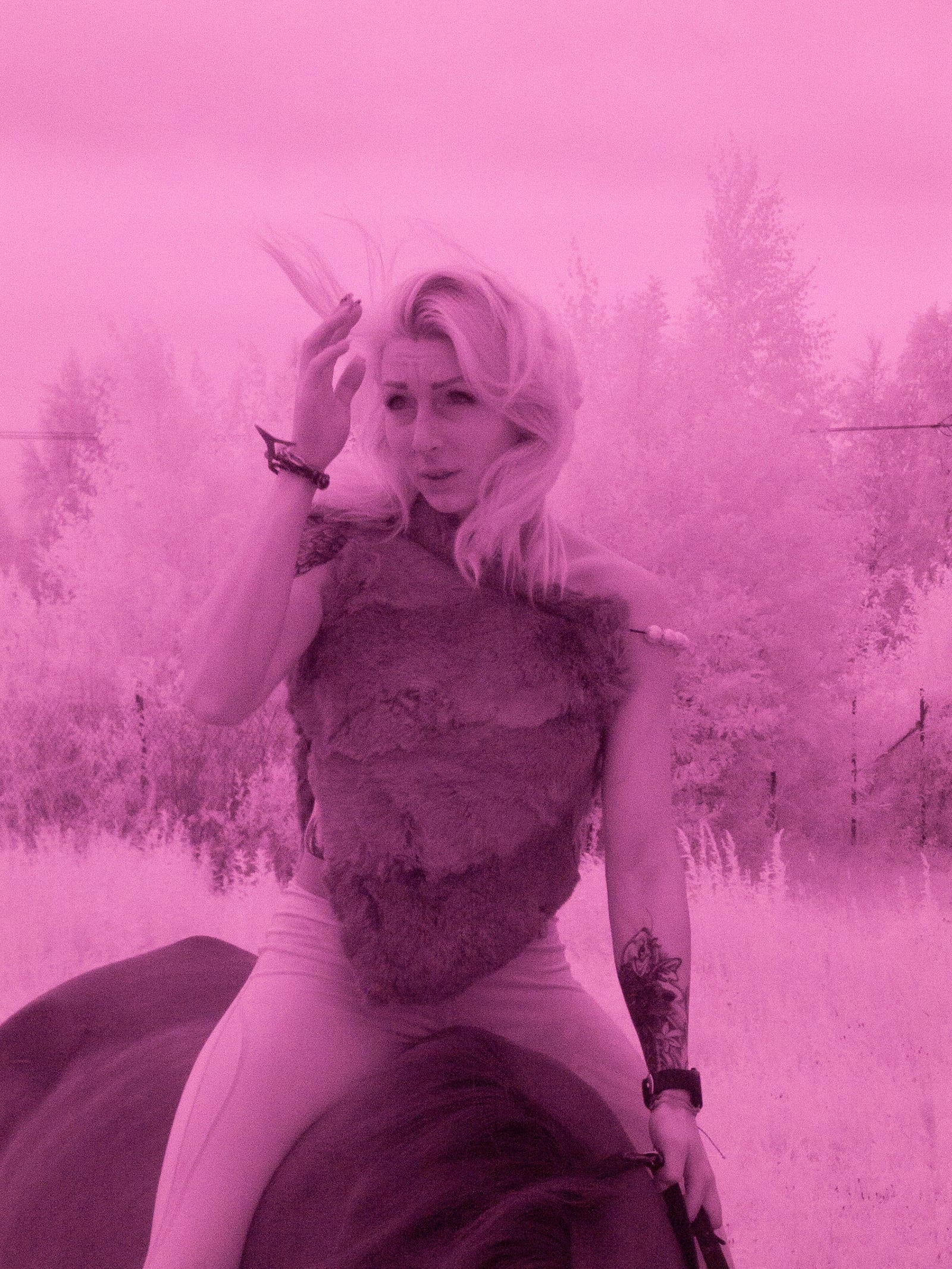 article image; primary-color: #BE6295;