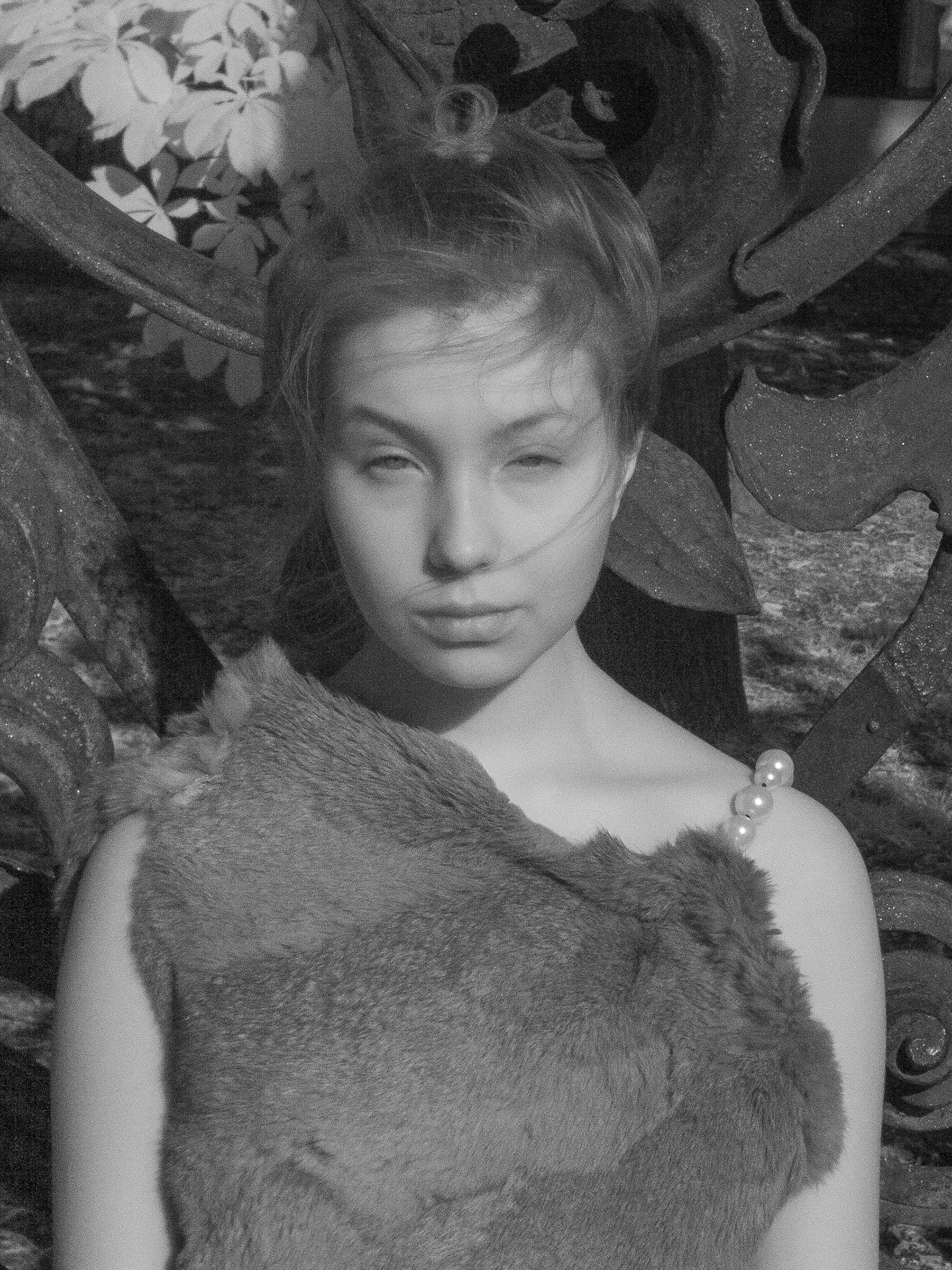 article image; primary-color: #5C5C5C;