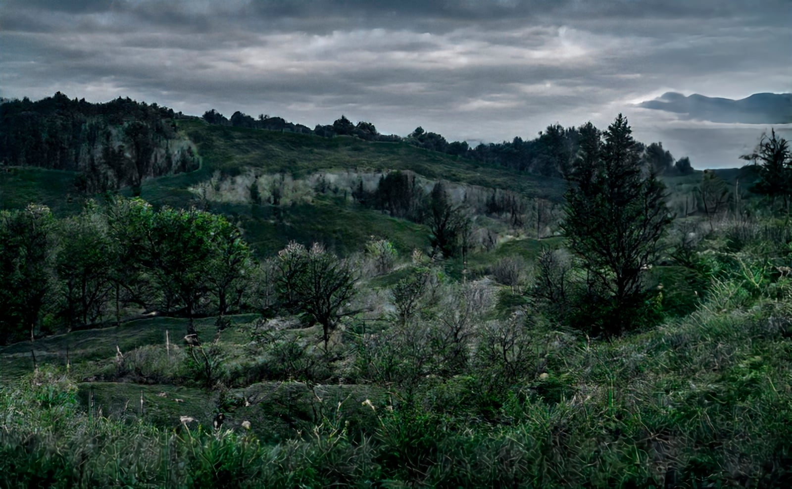 article image; primary-color: #344745;