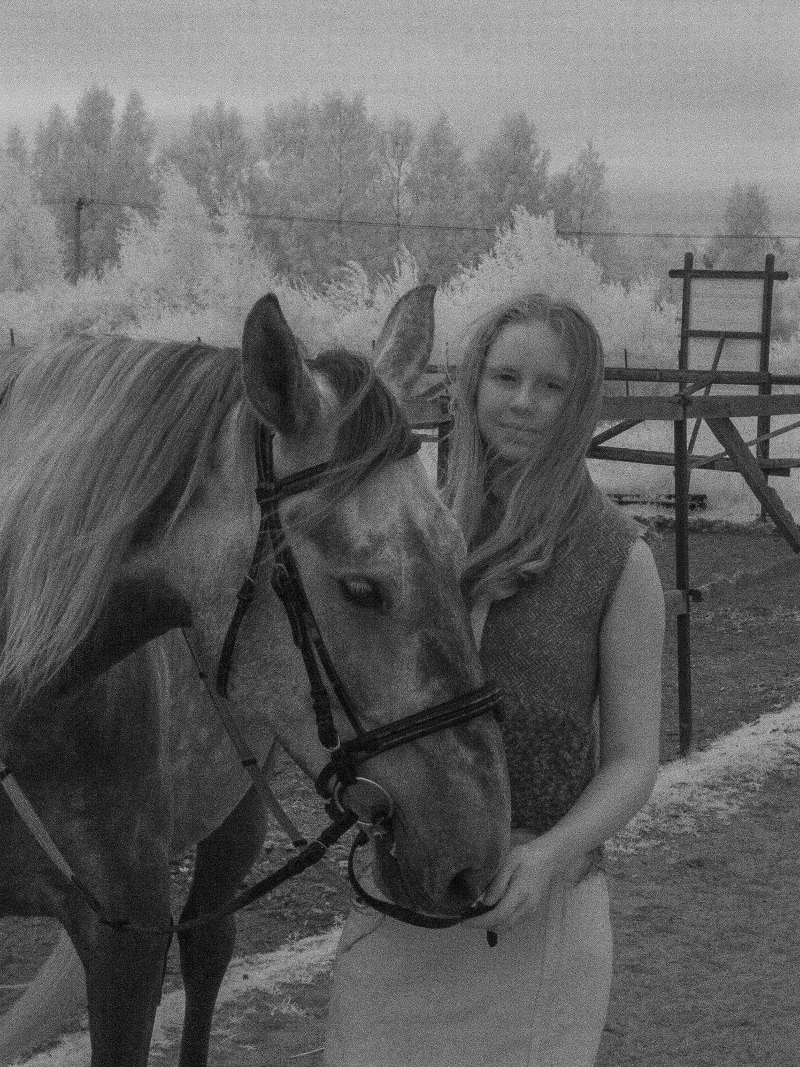 article image; primary-color: #616161;