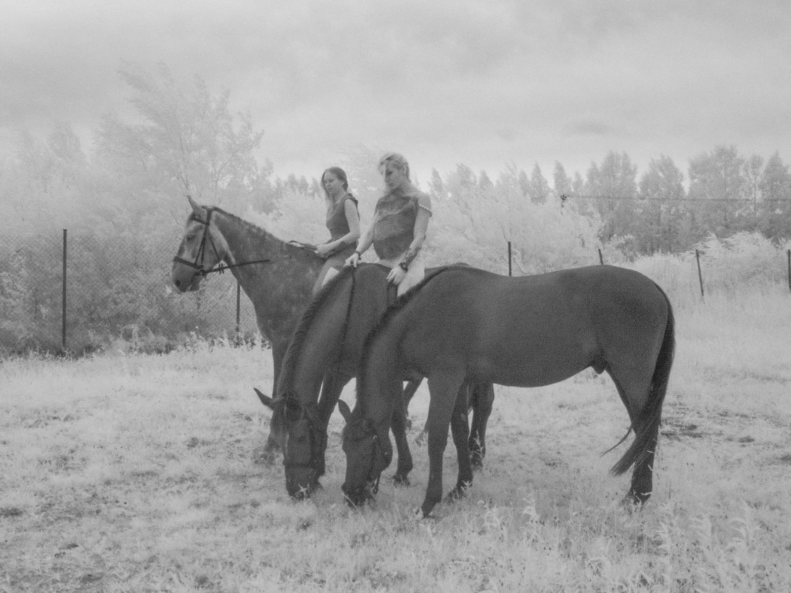 article image; primary-color: #9F9F9F;