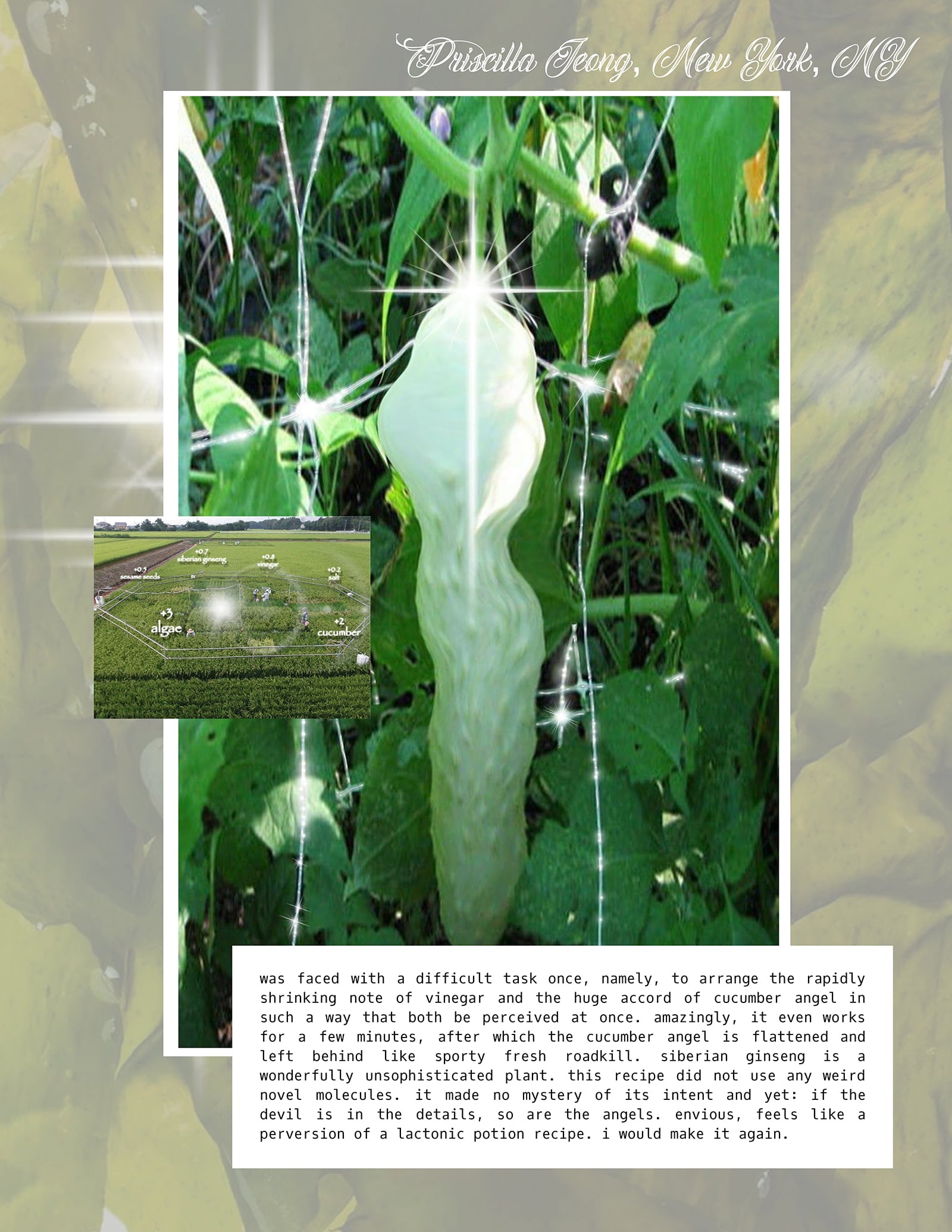 article image; primary-color: #8B9D83;