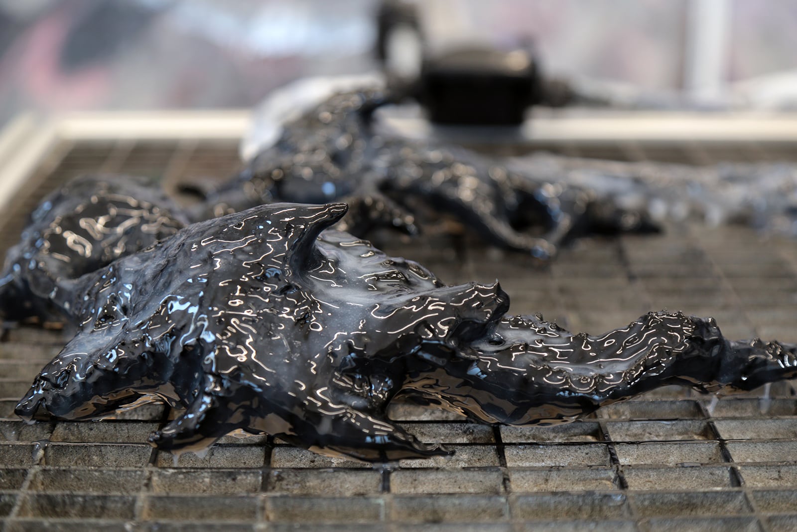 article image; primary-color: #6C6865;