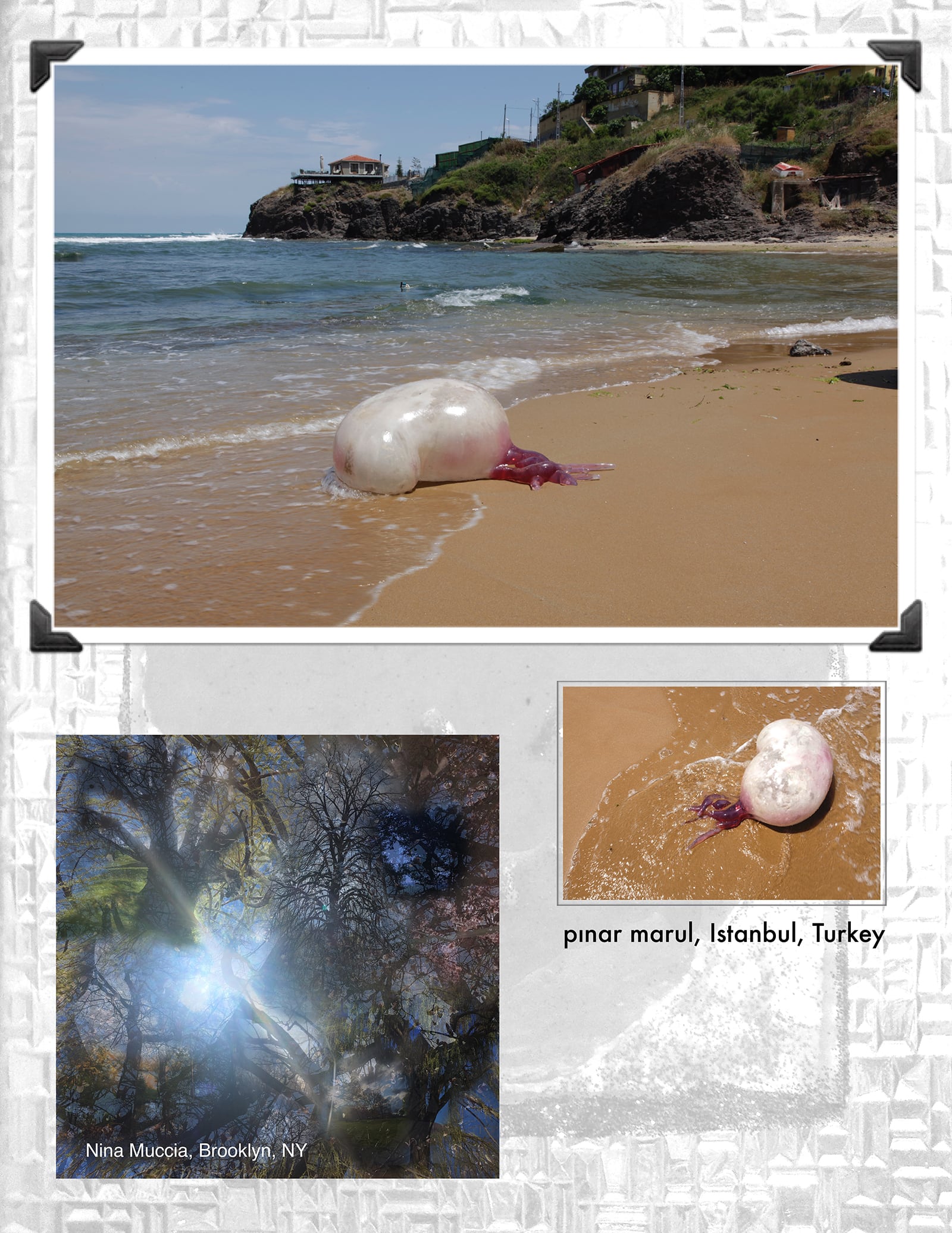 article image; primary-color: #9F9C95;