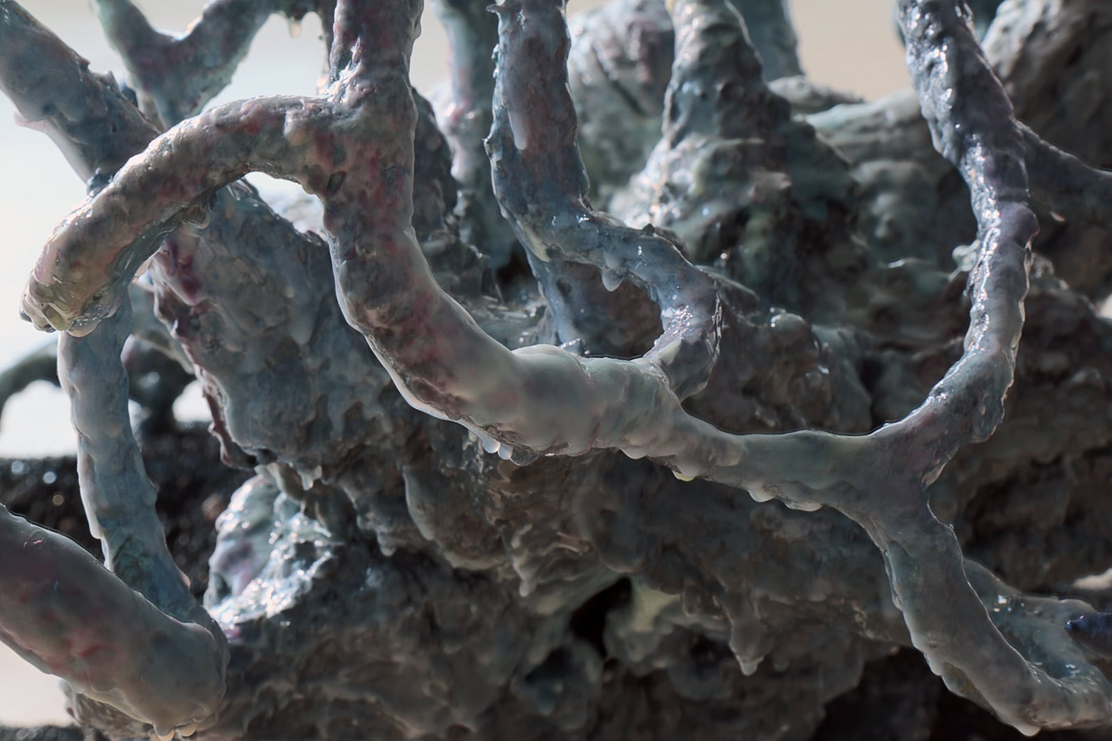 article image; primary-color: #4F5356;