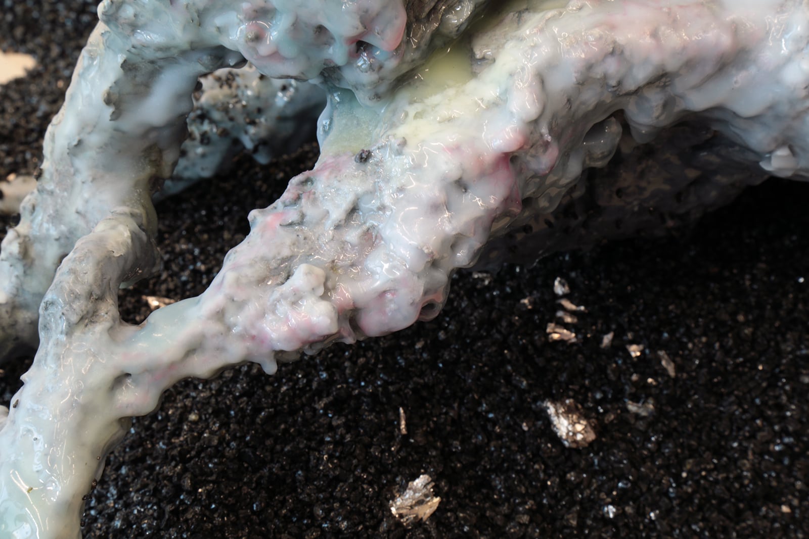 article image; primary-color: #565752;