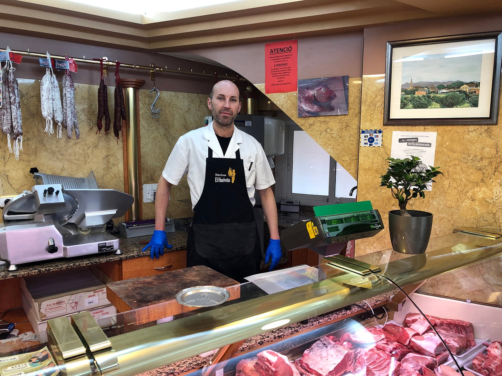 article image; primary-color: #837165;