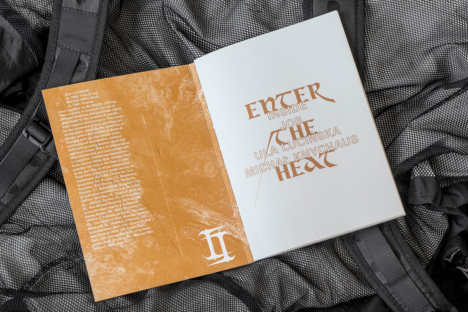 article image; primary-color: #84786A;