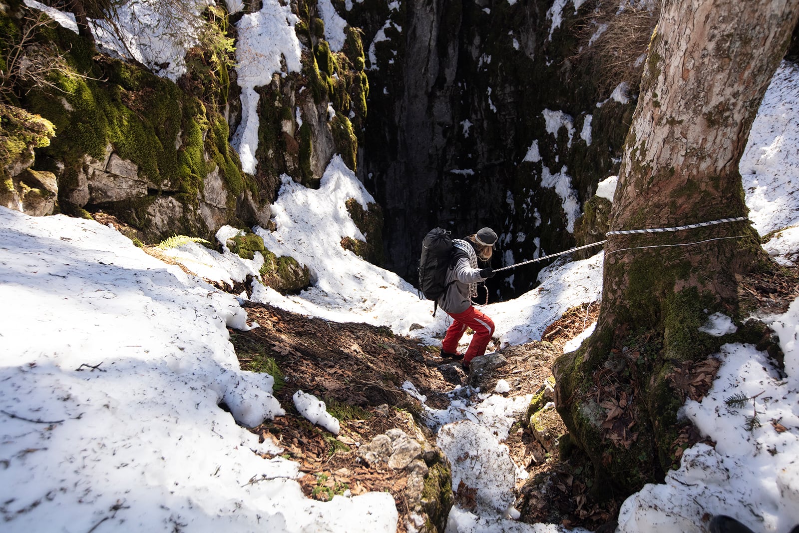 article image; primary-color: #766E6C;