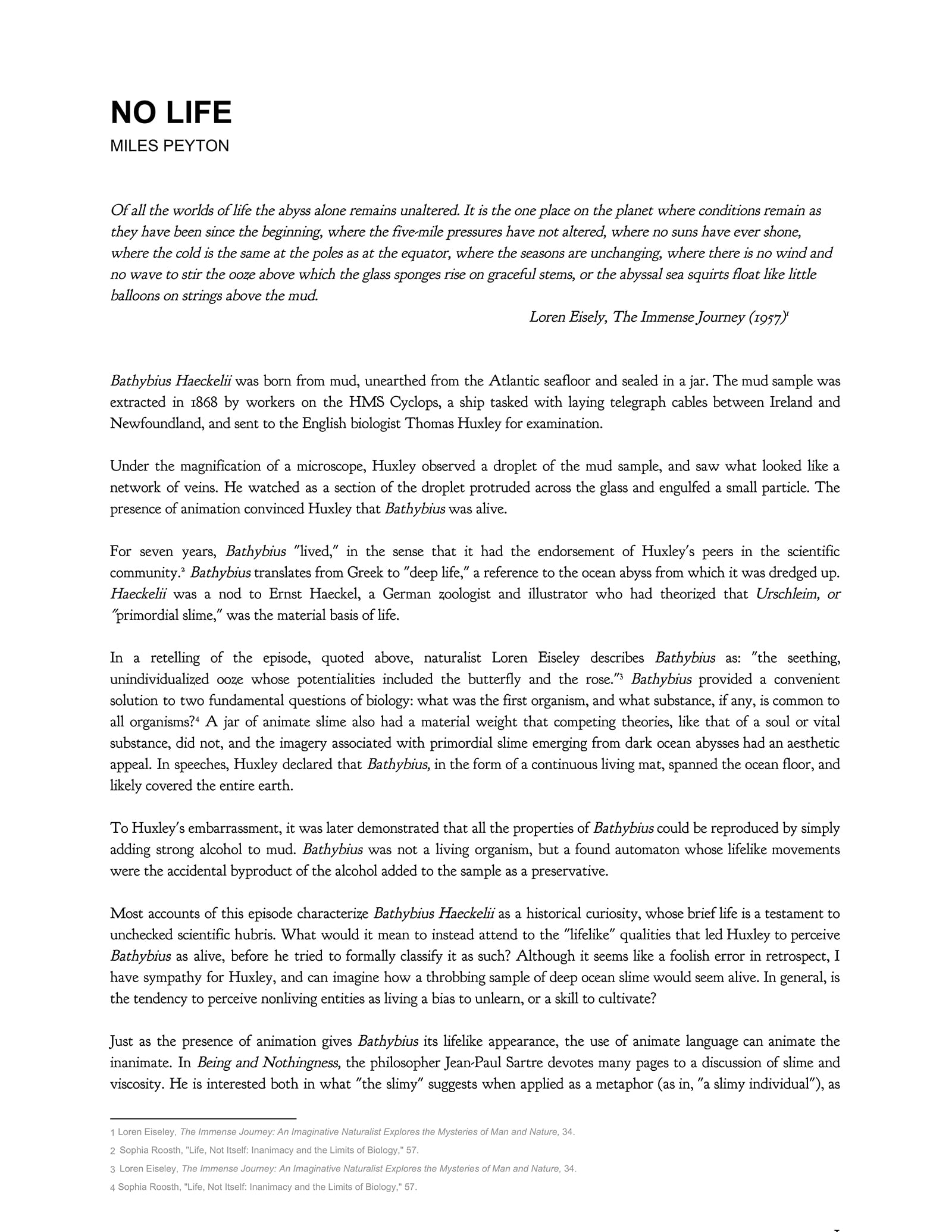 article image; primary-color: #F2F2F2;