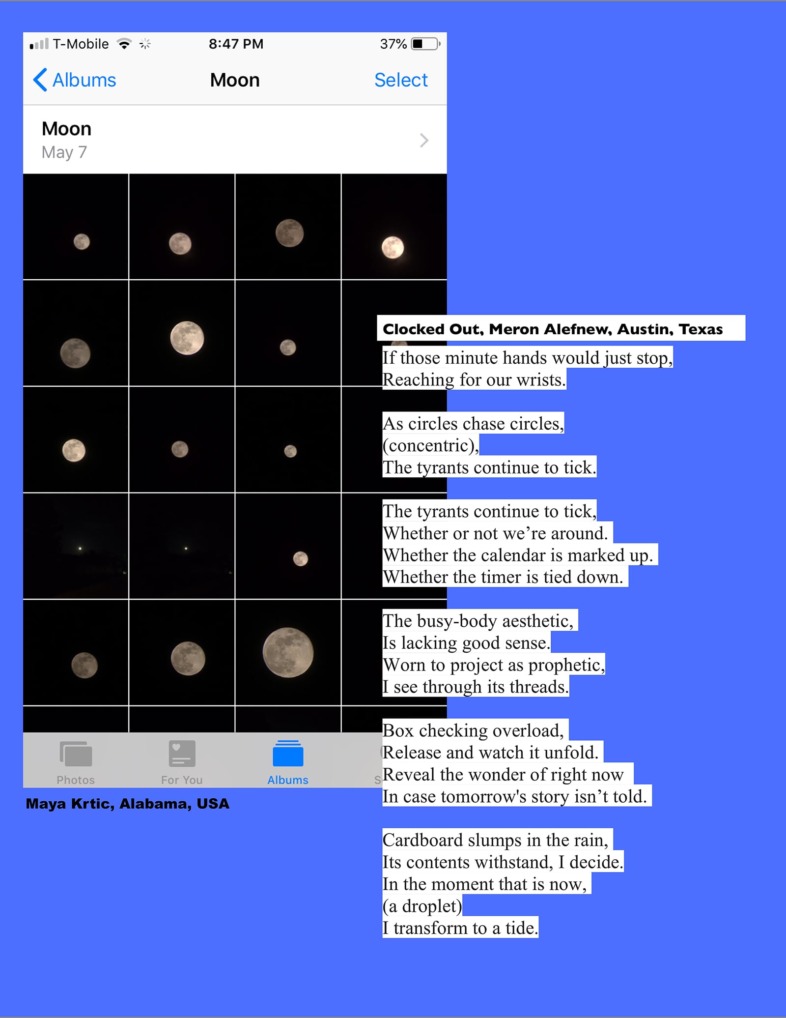 article image; primary-color: #5D6EB4;