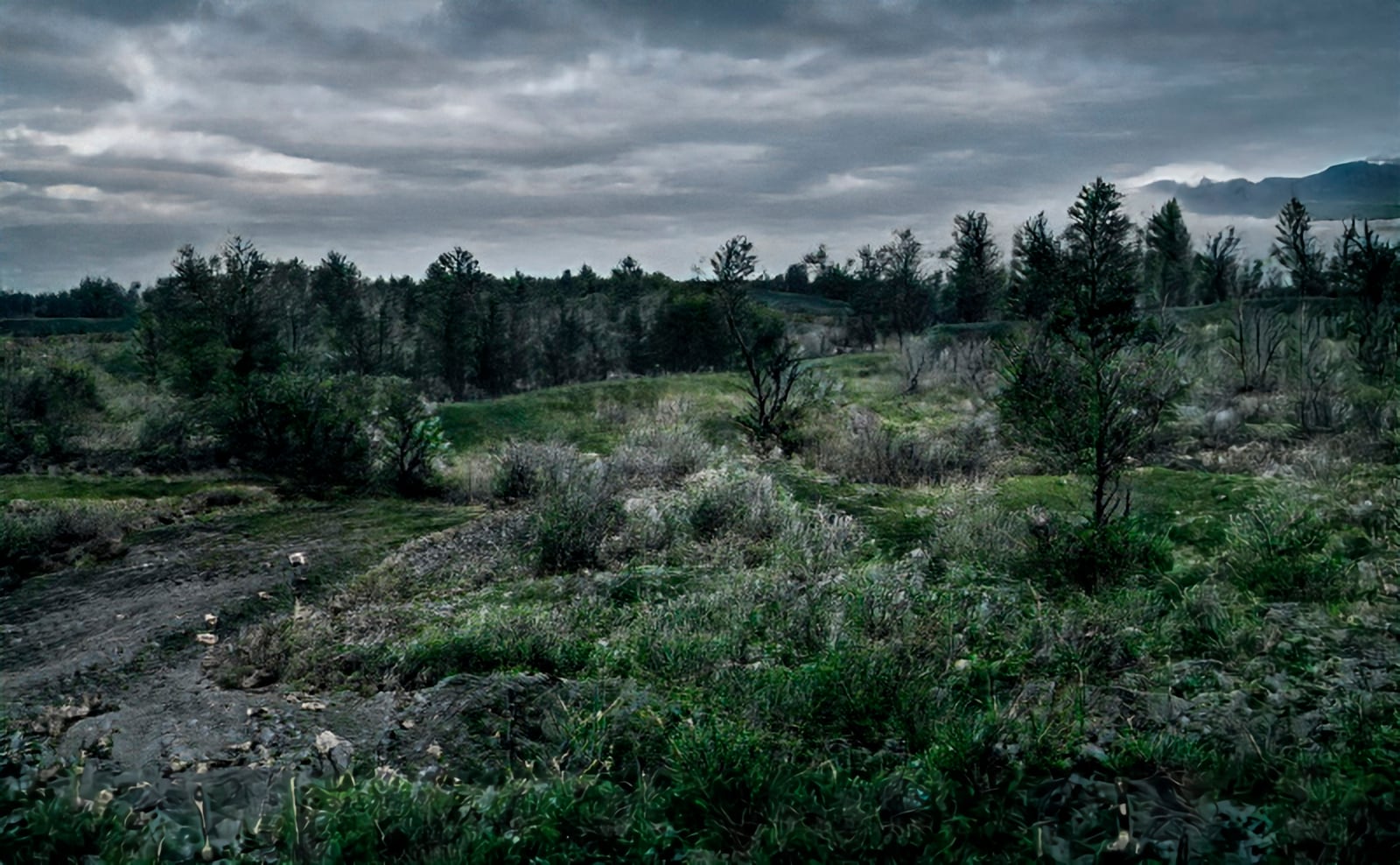 article image; primary-color: #404E4E;