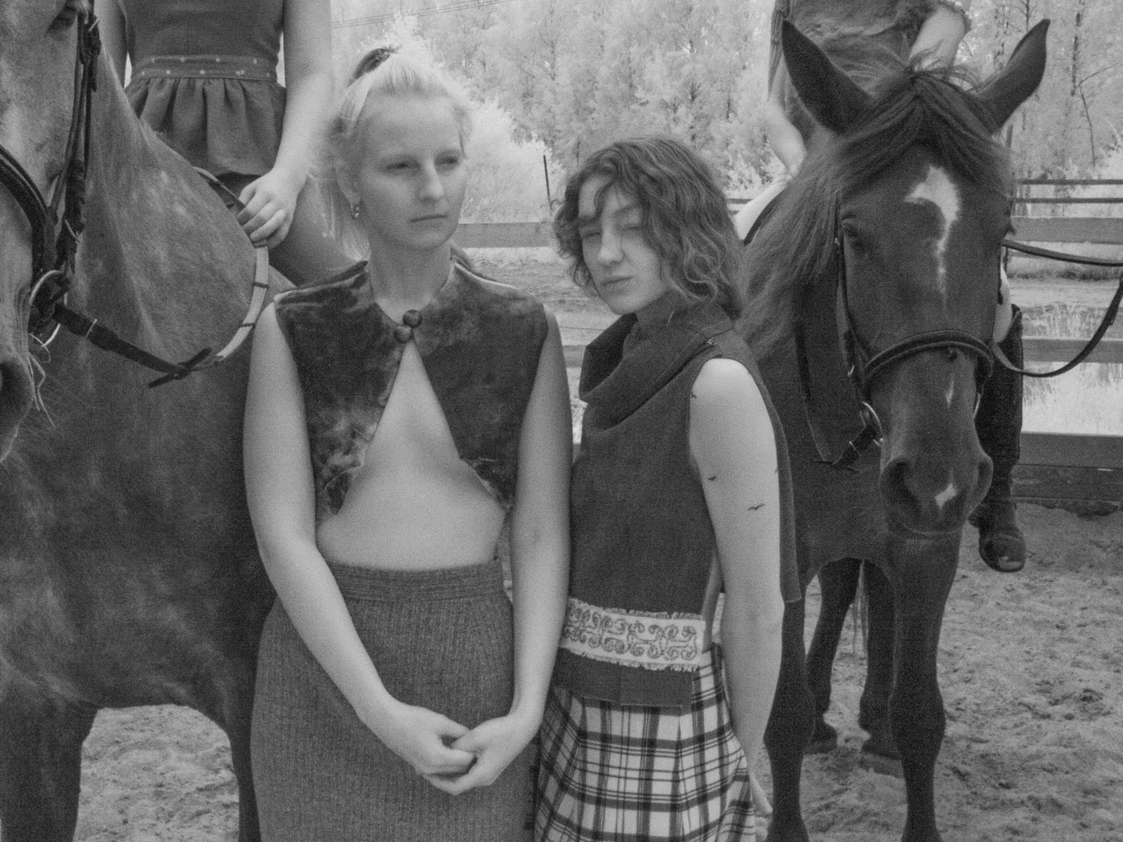 article image; primary-color: #646464;