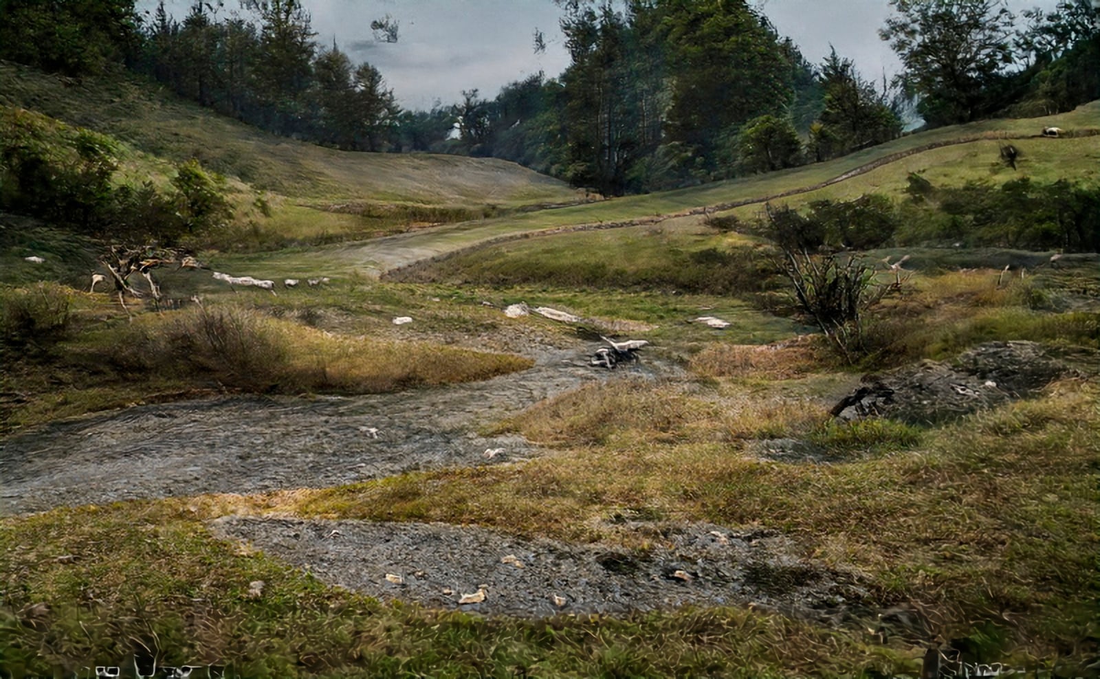 article image; primary-color: #544F39;