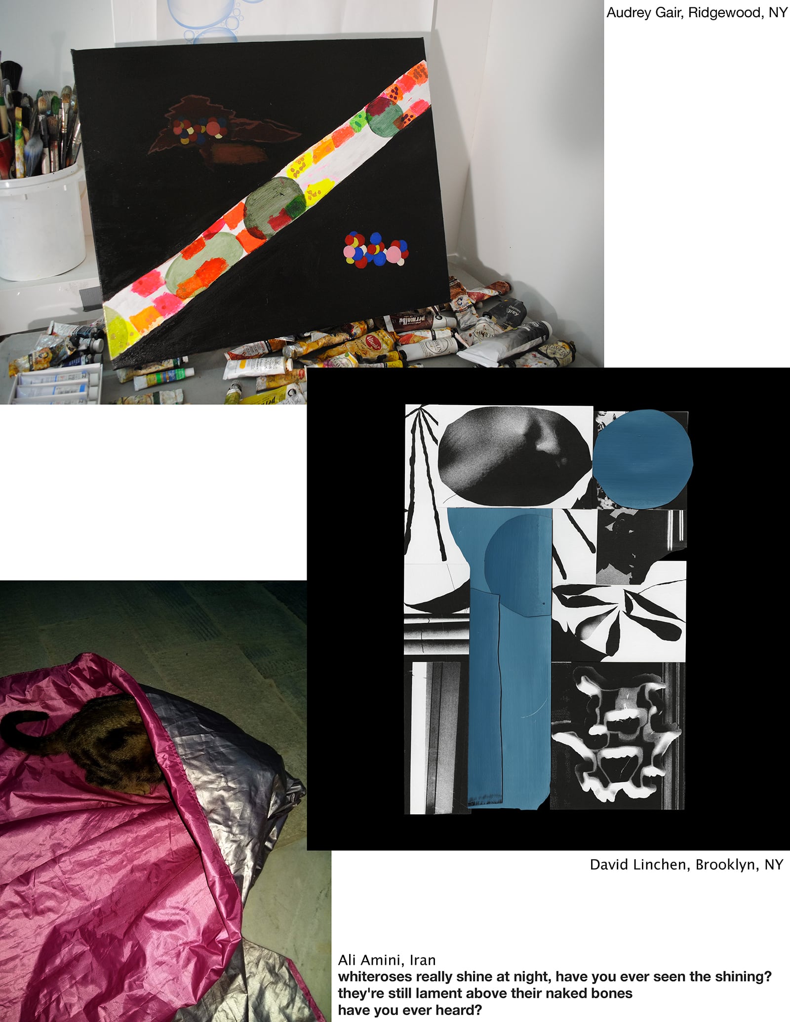 article image; primary-color: #817977;