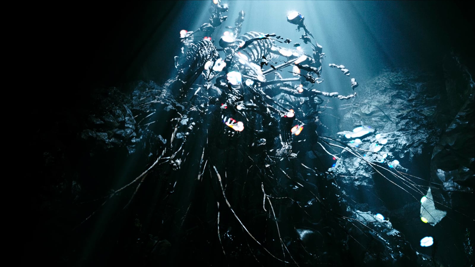 article image; primary-color: #1A2D31;