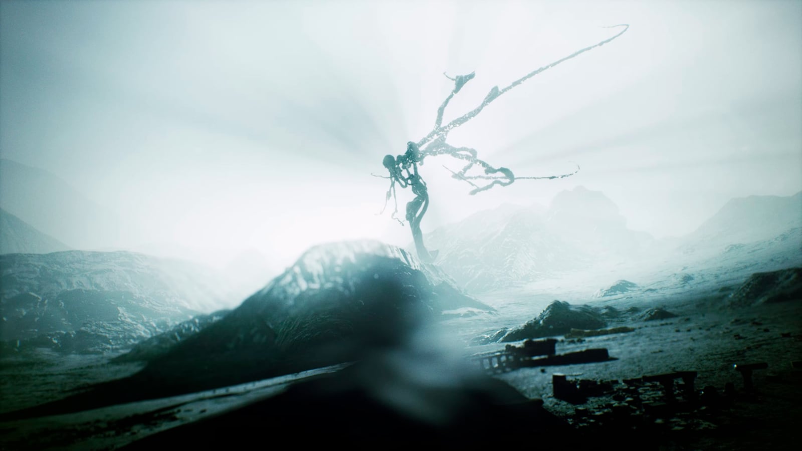 article image; primary-color: #8CA0A1;