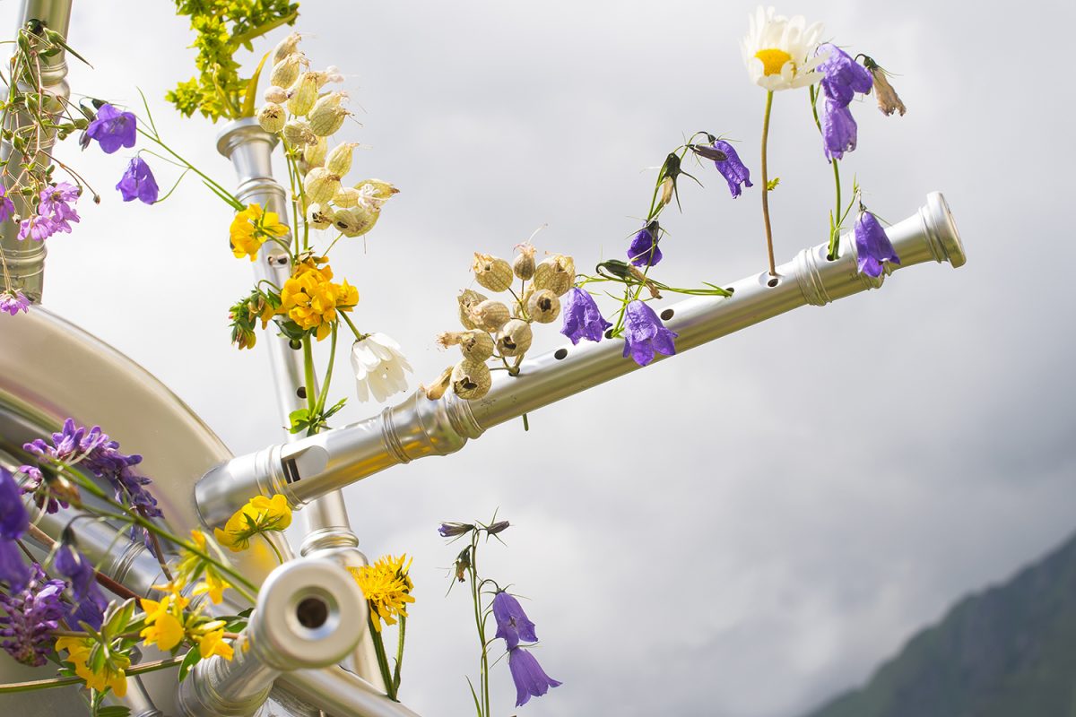 article image; primary-color: #C0BCB3;