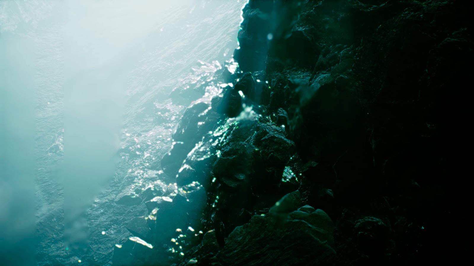 article image; primary-color: #3E5E5B;