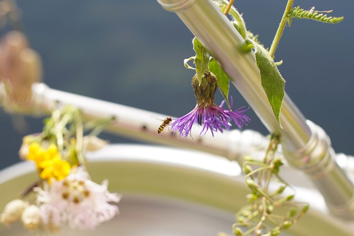 article image; primary-color: #94927D;